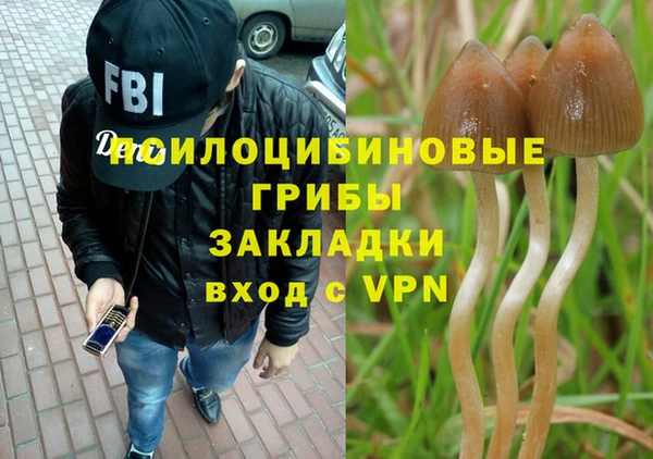 СК Лиски