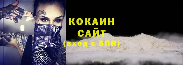 шишки Майский