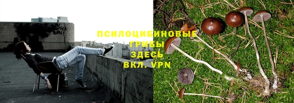 амф Магас
