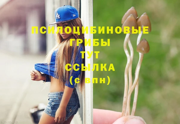 СК Лиски