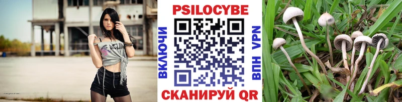 Купить  Ленинск-Кузнецкий  Галлюциногенные грибы мухоморы 